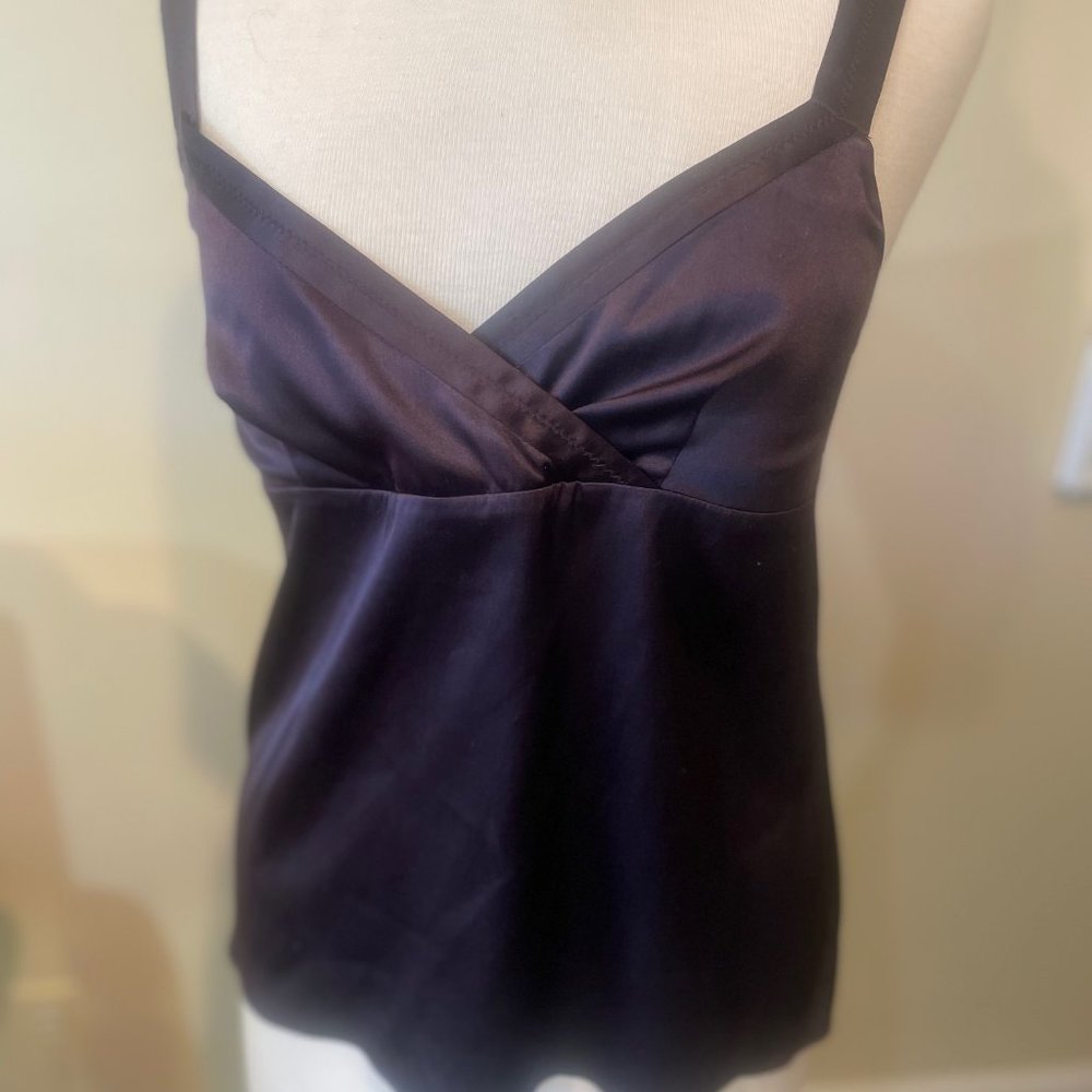 Sexy Rich Brown Bella Silk Theory Camisole Type Top